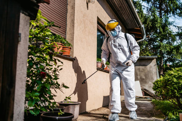 Best Pest Inspection Near Me  in Munford, AL